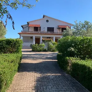 Conti Italia